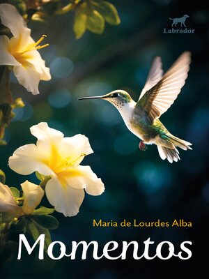 cover image of Momentos